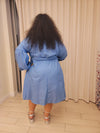 Weekend Denim Dress